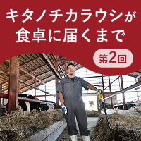 キタノチカラウシが食卓に届くまで第2回