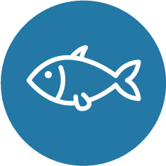 魚介・練りもの