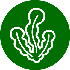 海藻・乾物・だし