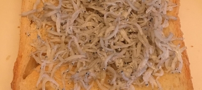 作業手順2
