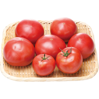 トマト1．5kg