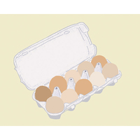 鶏卵（10個パック）