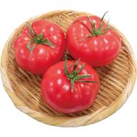ファーストトマト500g（加温栽培品）（WEB）