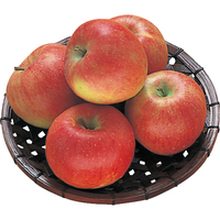 りんご（千秋）1．2kg