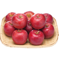 りんご（紅玉）2kg