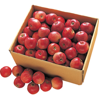 りんご（紅玉）10kg