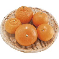 柑橘3種セット