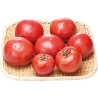 【お試し】トマト1．5kg