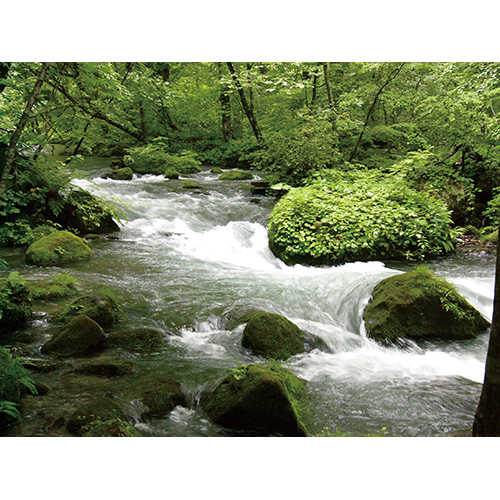 奥羽山脈を源とする清流、「鳴瀬川」の水が米を育てます