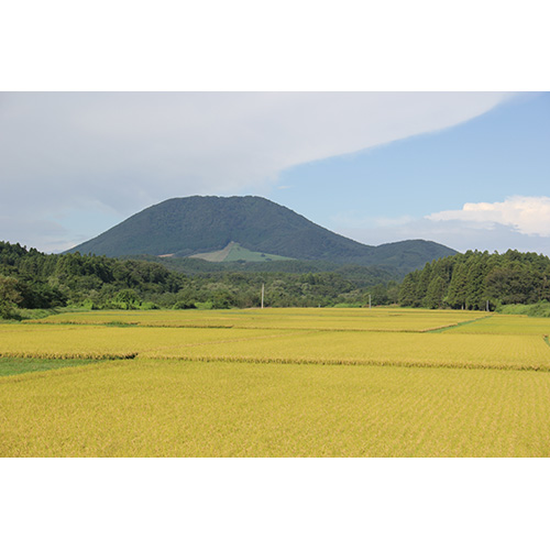 薬莱山(やくらいさん)を望むJA加美よつばの田んぼ