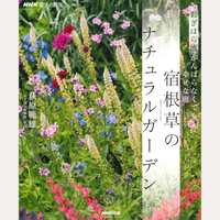 NHK趣味の園芸　宿根草のナチュラルガーデン