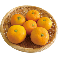 温州みかん600g【JAありだ】