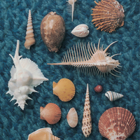 CD　スピッツ／CYCLE　HIT　1991−1997