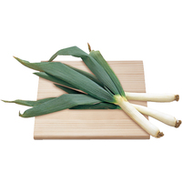 あっぱれ育ち下仁田ねぎ400g（WEB）