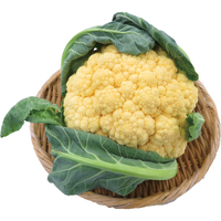 はればれ育ちオレンジミニカリフラワー（WEB）