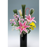 花姫（かのん）（6種6本）