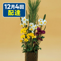 迎春水仙（4種6本）