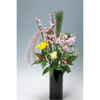 初春　桜（8種8本）