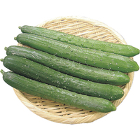 ブルームきゅうり5本