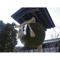 笑亀酒造のさかばやし（杉玉）