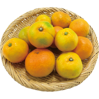 温州みかん800g【KARP】