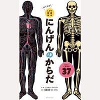 めくれる！しかけ図鑑絵本　にんげんのからだ