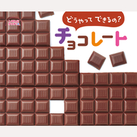 どうやってできるの？チョコレート
