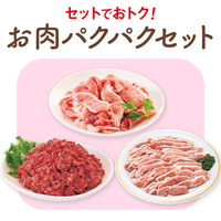 お試しお肉パクパクセットA