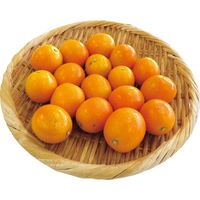【お試し】きんかん300g