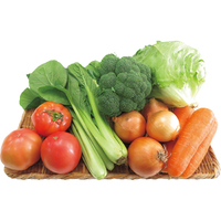 あっぱれ・はればれ野菜6点セット