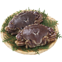 ヒラツメガニ（出汁用）