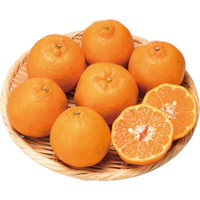 【お試し】ぽんかん1kg【西日本FU】