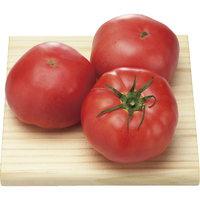 【お試し】はればれ育ちトマト500g