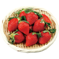 いちご（ゆうべに・恋みのり）240g