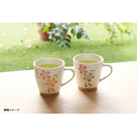 美濃焼軽量花咲マグさくら2色組