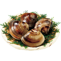 三重県産冷凍はまぐり（大）