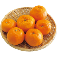 はるみ1kg【中島地区】