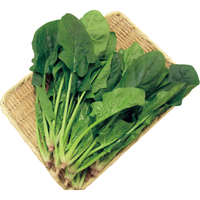 【お試し】ほうれん草200g