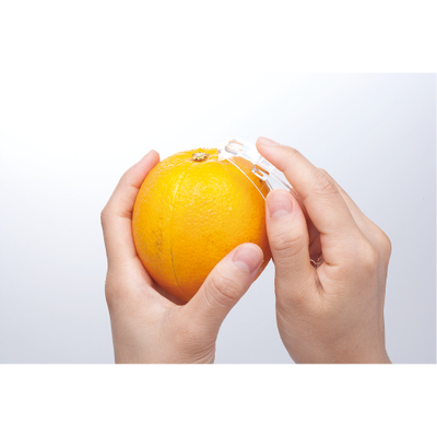 外皮は透明カバーの突起で