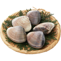 冷凍はまぐり（千葉県九十九里産）