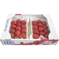 いちご（あまおう）250g×2個