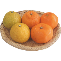 柑橘3種セット