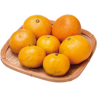 温州みかん800g【JA東とくしま】