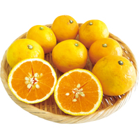 はるひ（いずのはる）5kg（WEB）