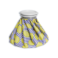 アイスバッグ　レモンストライプ