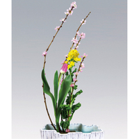 ひな祭り用盛り花