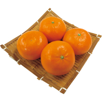 はまさき（麗紅）600g