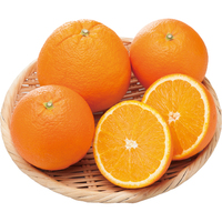 デリッシュネーブル1kg