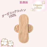 布ナプキン防水レギュラー