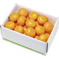 せとか5kg【中島地区】